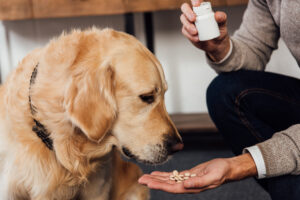 skin Dog Supplements